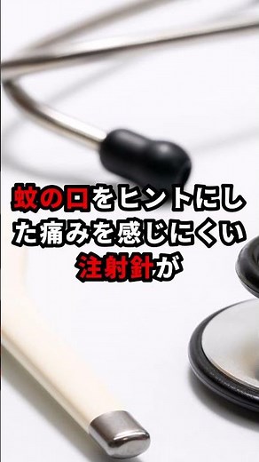 自然から学ぶ「バイオミミクリー」って何？ #バイオミミクリー #自然 #技術革新 #環境保護