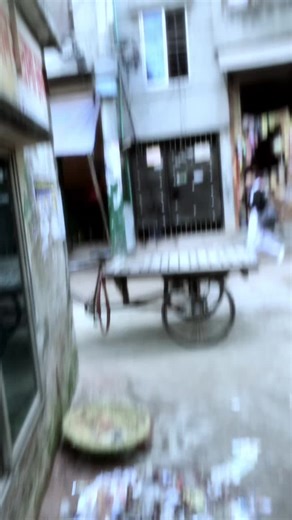 Exploring Popular Trends with You’R Tahasa’N