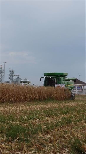 38 reactions | There’s just something satisfying about seeing a Maya Corn Head doing what it does best. We love to see it moving! #MayaCornHeads #BuiltToWork #FarmPride HarvestReady | MAYA America Corn Heads | Facebook
