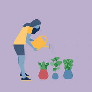 Cómo conseguir seguidores en Instagram rápido y gratis en 2025