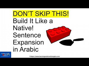 Master Modern Standard Arabic Verbsin Action - Essential Sentence Building Skills for Beginners
