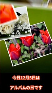 【今日は何の日？】12月5日「アルバムの日」
