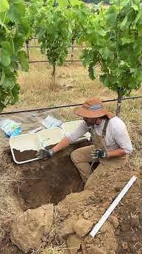 Soil Sampling at Troon Vineyard
