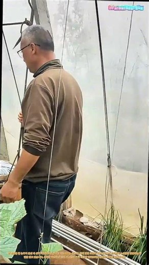 수확을 굴려 나간다: 매일 1만 걸음을 절약해 주는 도르래