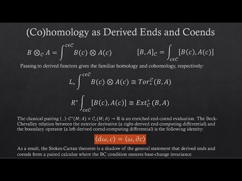 Advanced Integration Theory With Enriched Categories and Homological Algebra