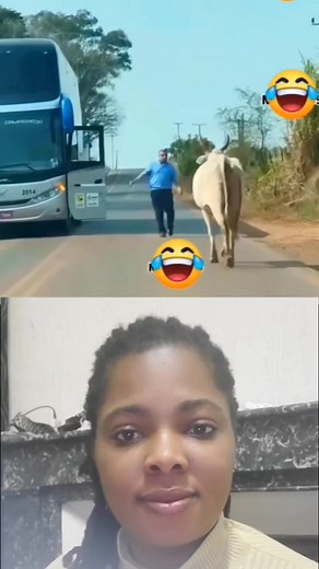 Funny cow 🐄 😄 🤣 😆 | comedy kingofpranks