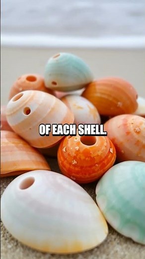 Crafting a Unique Shell Wind Chime