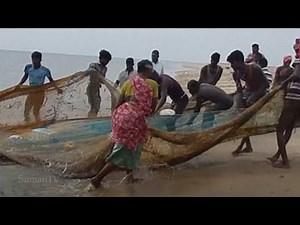 సాగర కన్య కాదు.. సాగర పురుషుడు మొదట్లో వలలో పడ్డాడు ||The Real Story of Merman Caught By Fisherman