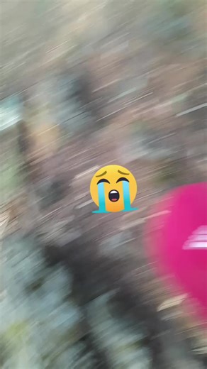 Videos de martin Domingo (@martindomingo134) con “sonido original - PEDRO_CLAUDIO_SANTIAGO🎤🥰🇺🇸”