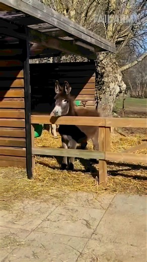 2.6M views · 314K reactions | I pray for “Total Healing“ (inside & out)….for you and your entire family. Typeif you receive! #healing #prayer #pray #bishopoldes | Vance Oldes | Facebook