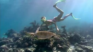 67K views · 540 reactions | Fortune has placed one of the best reefs on Earth – World Heritage Listed Ningaloo Reef – just a few steps from the Coral Coast beaches of Western Australia. | Western Australia | Facebook