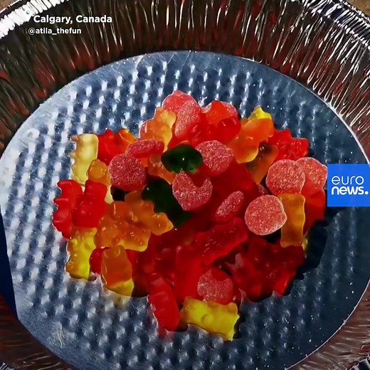11K views · 98 reactions | This timelapse video shows a pile of gummy bears melting in the extreme heatwave that has been gripping parts of western Canada, with unprecedented record temperatures reaching 49.6° degrees Celsius. Gummy puddle anyone? | Euronews English | Facebook