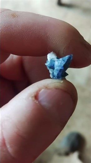 Benitoite (more rare than diamonds) #rockhound #crystals #diamond