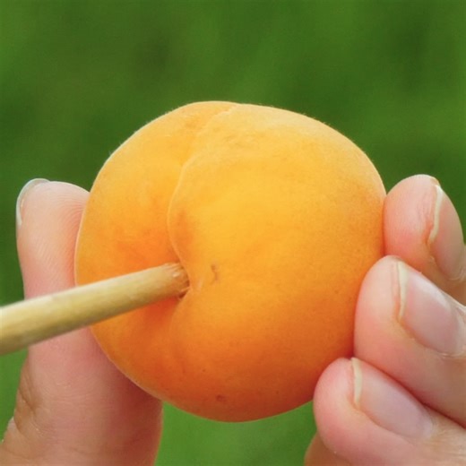 Amazing outdoor cooking ideas you need to try | Green Bean