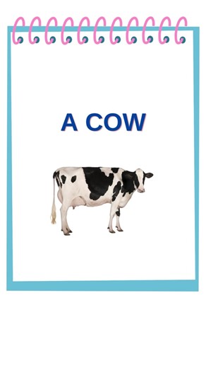 Learn about Cows: Facts, Sounds, and More!