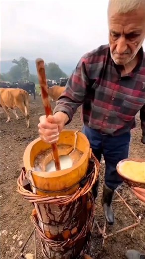 The process of making ghee from cow’s milk.