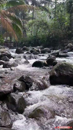 Soothing Focus River Sound Medicine in a Gentle River Scene for Relax Study Sleep 🌱 #nature #relax