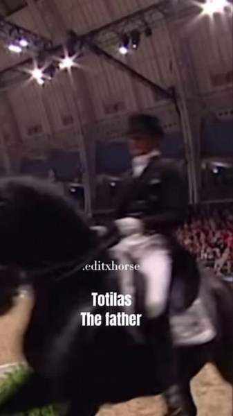 There both stunning🤩 very bad quality🥲#totilas #spotilas #fyp #woah #viral #dressage