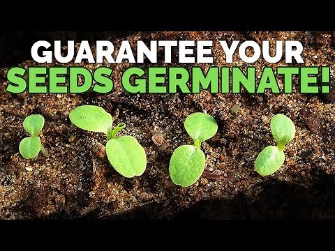How to Guarantee Seed Germination With Math!