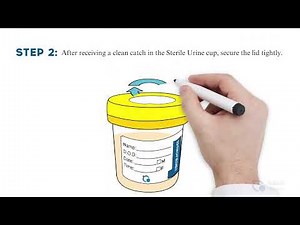 Urine Collection Guide - Solaris Diagnostics