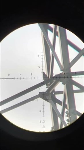 perfect dead shot #hunting #birds #huntingbirds #birdhunting #hunting #birds