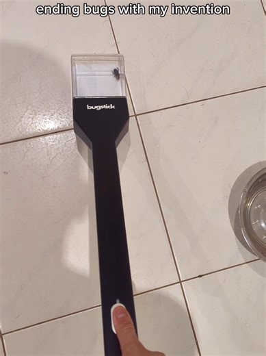 Effective Way to Relocate Spiders and Bugs Outside