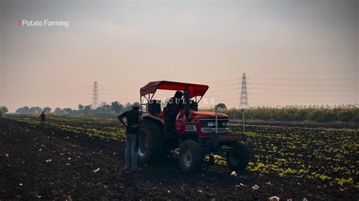 kaushal garud on Instagram: "Agriculture 🌾🥔 #farming #maharashtra #tractor #explore #viralreels"