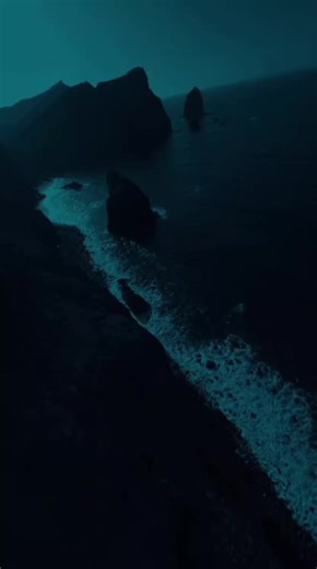 #fy #fypp #haftbefehl ##viral?