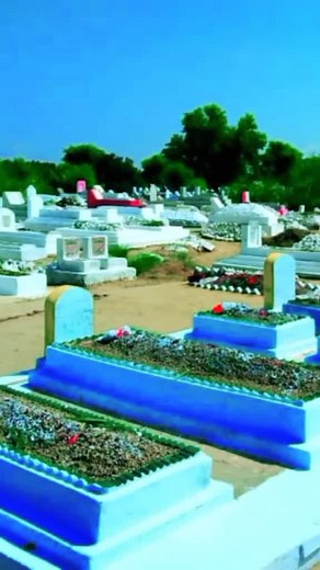 Exploring Diverse Gravestones in Nature's Quiet