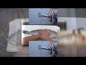 (REUPLOAD) HowToBasic Scans How to revive a Fish Scan