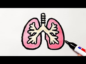 How to Draw Lungs