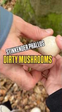 Dirty Mushrooms TWO