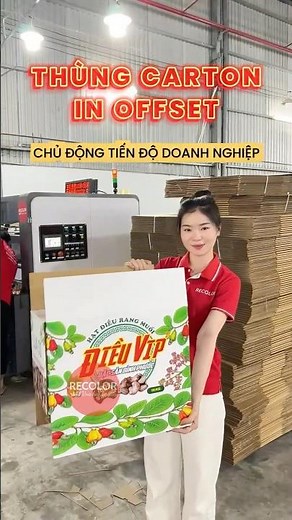 Doanh nghiệp cần thùng carton in offset, chọn RECOLOR để chủ động tiến độ