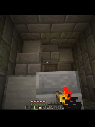 #minecraft #meme #rec