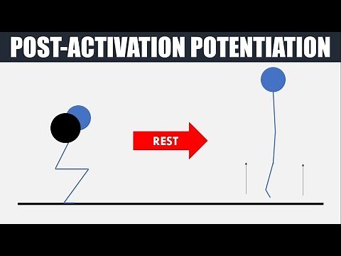 Post Activation Potentiation | Theory and Practical Application