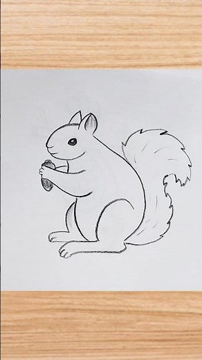 how to draw squirrel drawing easy step by step