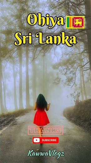 Ohiya Sri Lanka | Misty Forest Roads & Hidden Beauty 🇱🇰💚 #shorts #visitsrilanka #naturelovers