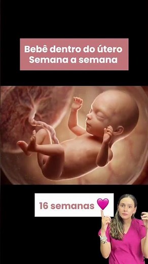 Como seu bebê está agora? Evolução fetal completa! ✨