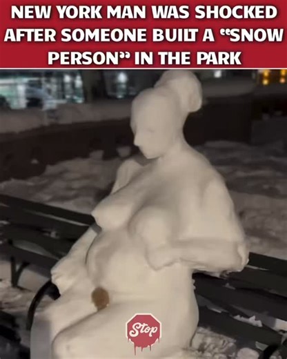New York man was astonished after spotting a “snow person” Via:cartier_q_ | Stop Sign Productions