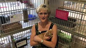 1.6K views · 43 reactions | Meowzer! Williamson County Commissioner Valerie Covey came by the shelter to celebrate #InternationalCatDay | Williamson County Regional Animal Shelter | Facebook