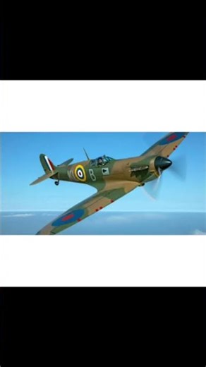 spitfire #shortvideo #planeedit #spitfire #freebird#plane