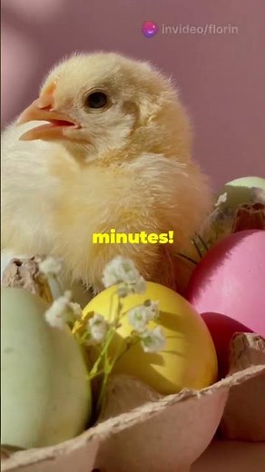 The Sweet History of Peeps Marshmallow!