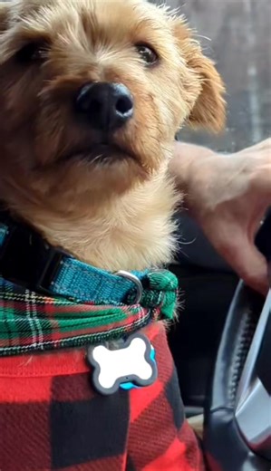 Jody Matney on Reels