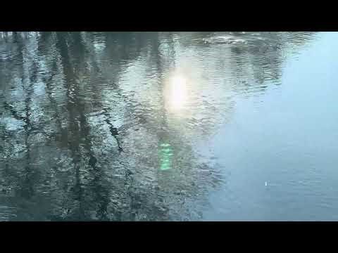 River Code (Official Music Video)