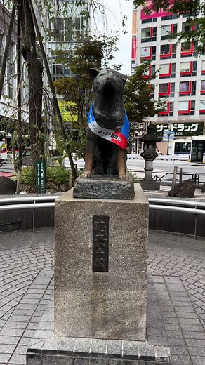 The Heartwarming Story of Hachiko the Loyal Dog