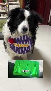 You can tolerate being disgusted with me but you are disgusted with my dog Then I won t be