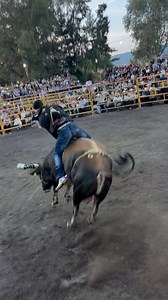 55K views · 1.2K reactions | Cuni De Las Anonas  El Monaguillo De Seleccion Michoacana De Martín Caballero Mane Tv  Espacio Jaripeyero  #reelschallenge #reelsfbシ #reelsfypシ #reelsvideoシ #reelsfb #reels #viralvideochallenge #viralreelschallenge #virals #viralvideoシ #viralreelsfacebook #videoviral | Mane Tv | Facebook