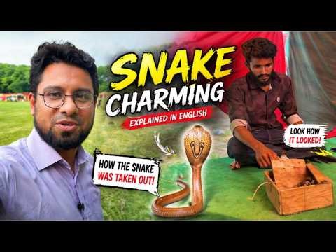 SNAKE CHARMING EXPLAINED IN ENGLISH | BD