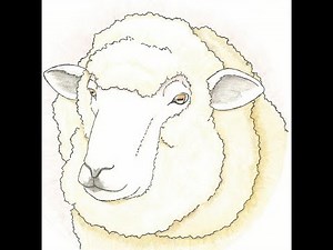 Anthony Cumia on: the Beige Frequency documentaries